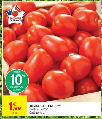 TOMATE ALLONGÉE