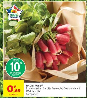 RADIS ROSE