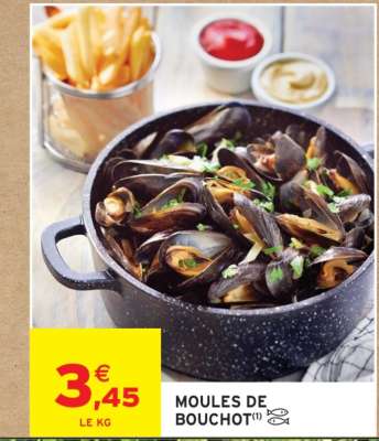 MOULES DE BOUCHOT