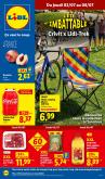 leaflet