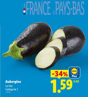 AUBERGINE