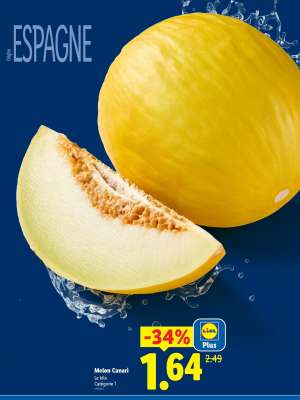 Melon Canari