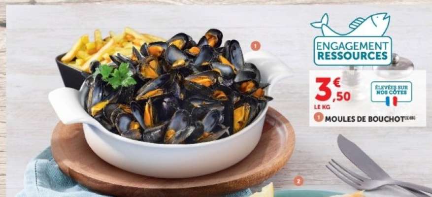 MOULES DE BOUCHOT