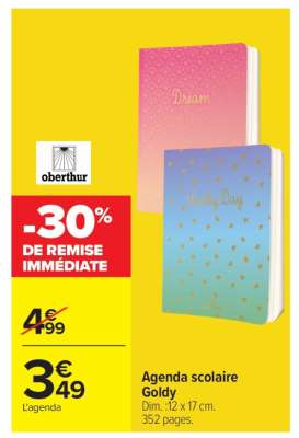 Agenda scolaire Goldy