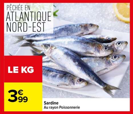 SARDINE