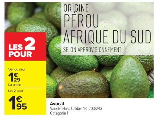 Avocat