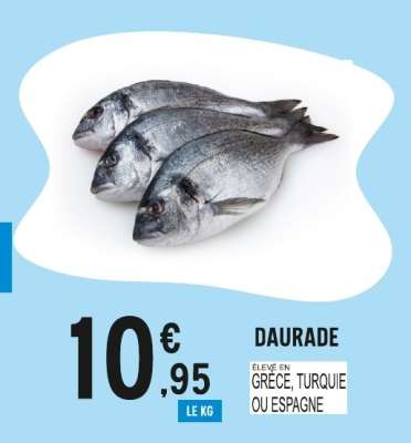 DAURADE