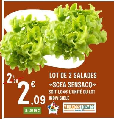 LOT DE 2 SALADES «SCEA SENSACO»