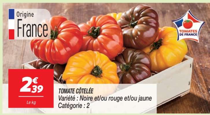 TOMATE COTELEE