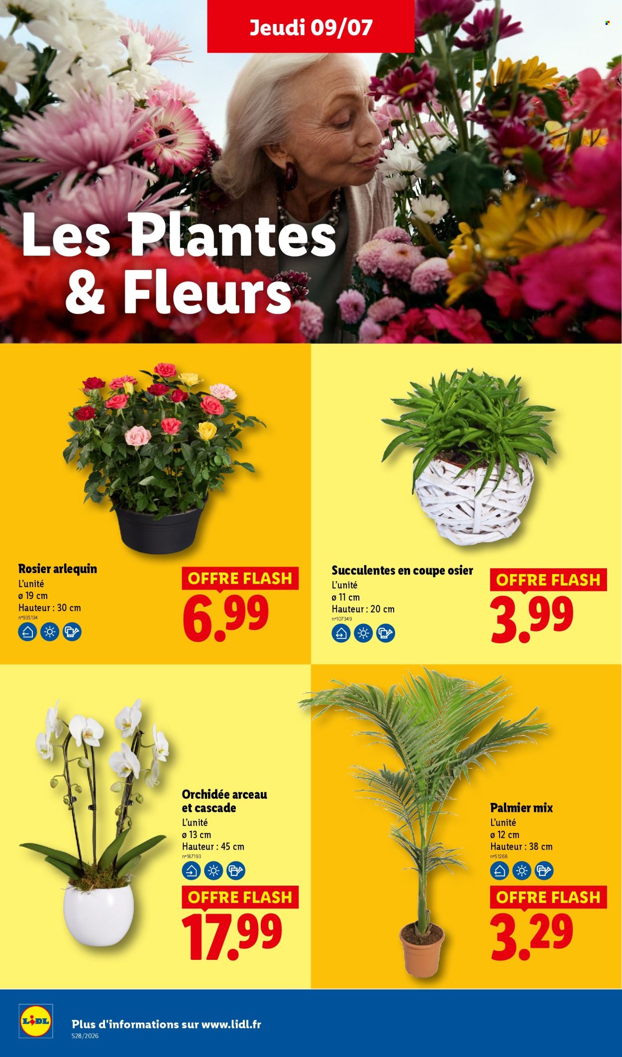 Catalogue Lidl - 09/07/2026 - 15/07/2026. Page 30