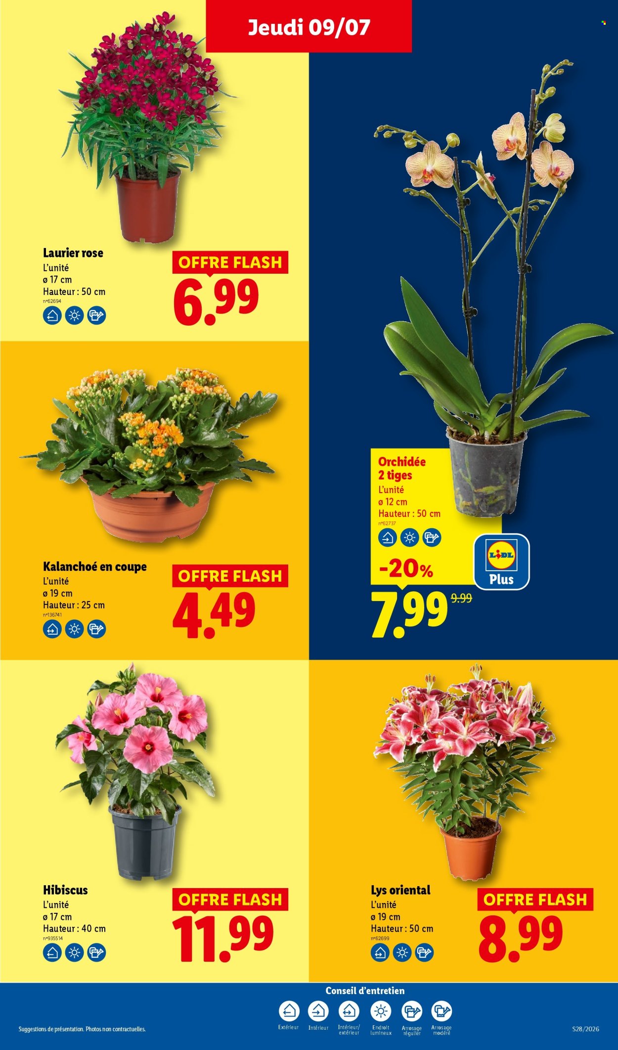 Catalogue Lidl - 09/07/2026 - 15/07/2026. Page 31