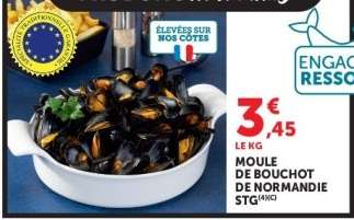 Moule de bouchot de Normandie STG