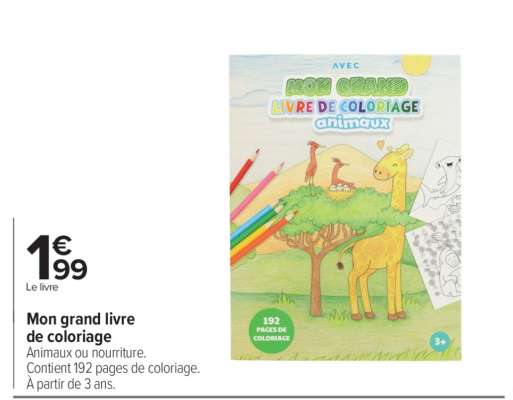 Mon grand livre de coloriage