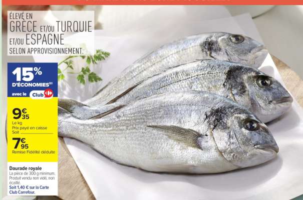 Daurade royale