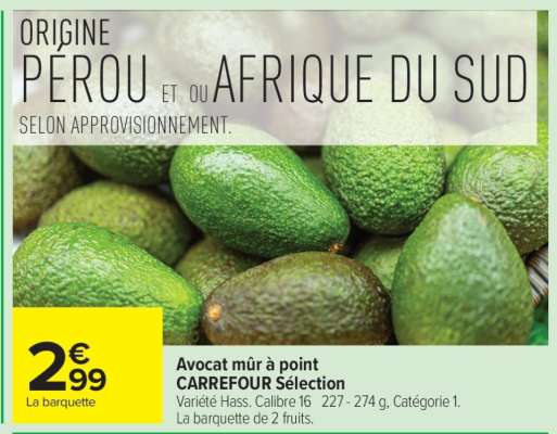 Avocat mûr à point