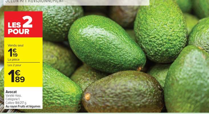 Avocat