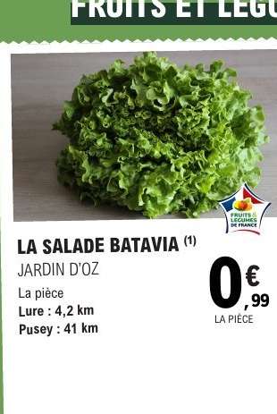 LA SALADE BATAVIA