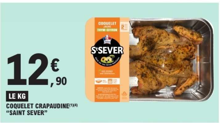 COQUELET CRAPAUDINE “SAINT SEVER”