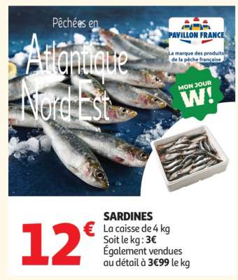 Sardines