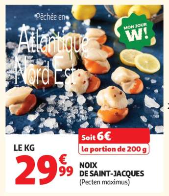 NOIX DE SAINT-JACQUES (Pecten maximus)