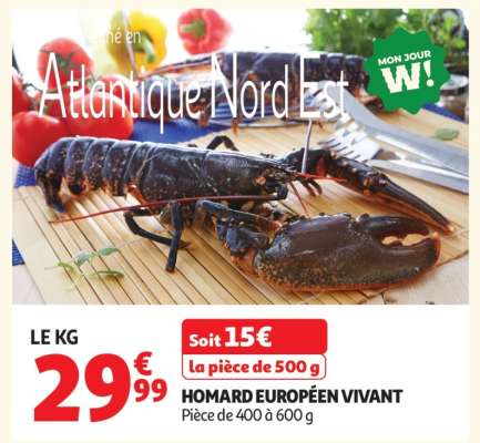 HOMARD EUROPÉEN VIVANT