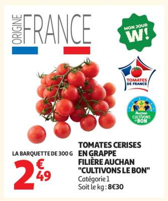 TOMATES CERISES EN GRAPPE