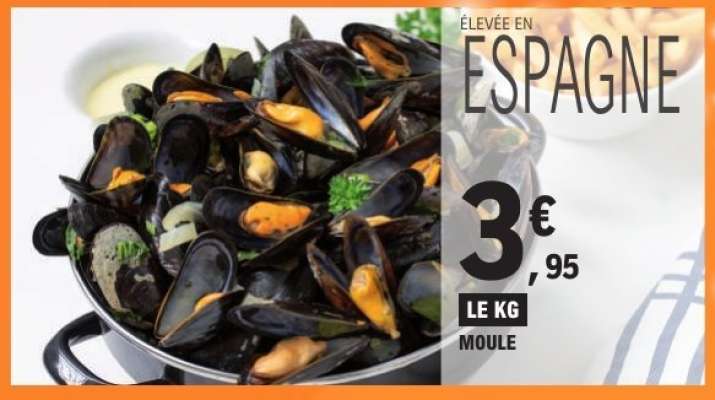 Moule