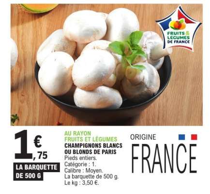 CHAMPIGNONS BLANCS OU BLONDS DE PARIS