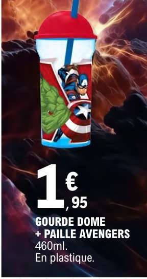 GOURDE DOME + PAILLE AVENGERS