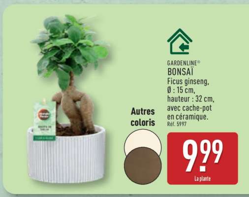GARDENLINE® BONSAÏ