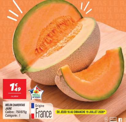 MELON CHARENTAIS JAUNE