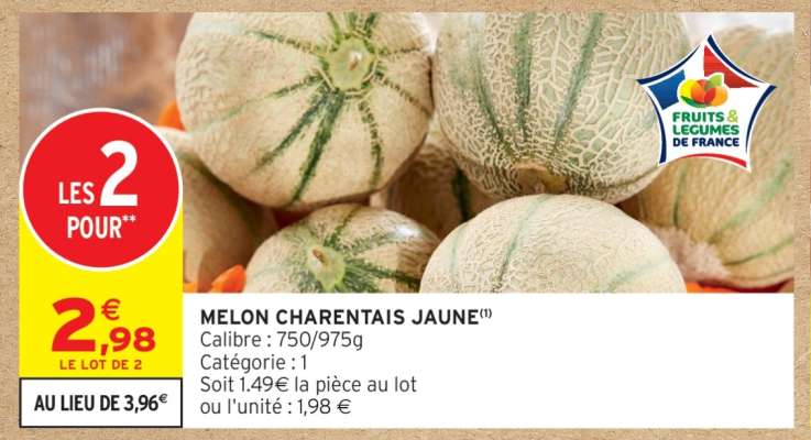 MELON CHARENTAIS JAUNE