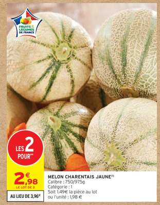 MELON CHARENTAIS JAUNE