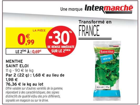 MENTHE SAINT ELOI
