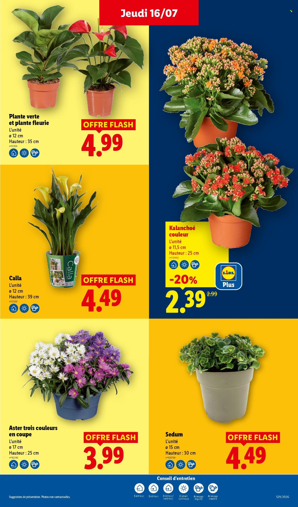 Catalogue Lidl - 16/07/2026 - 22/07/2026. Page 27