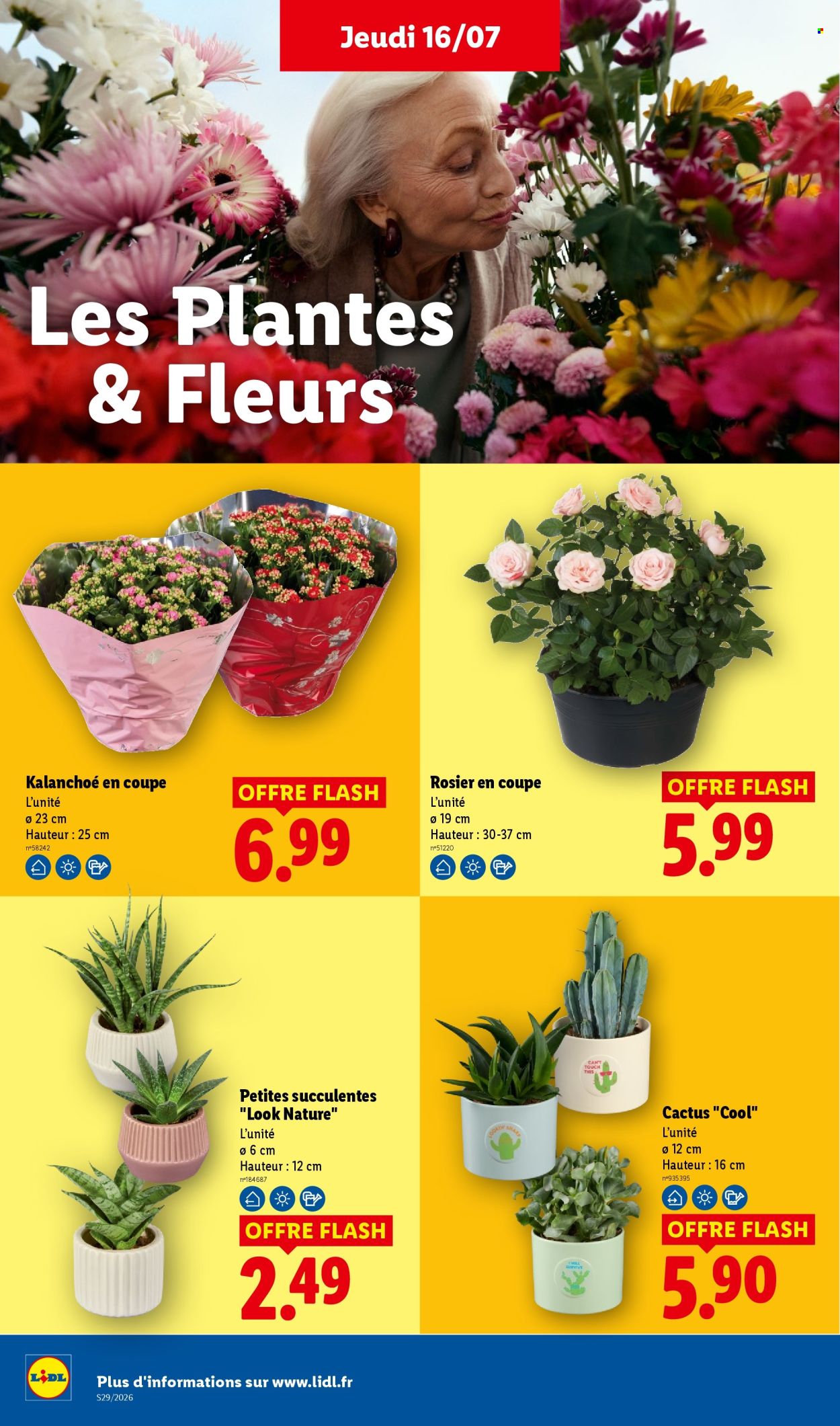 Catalogue Lidl - 16/07/2026 - 22/07/2026. Page 26