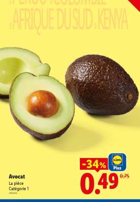 Avocat