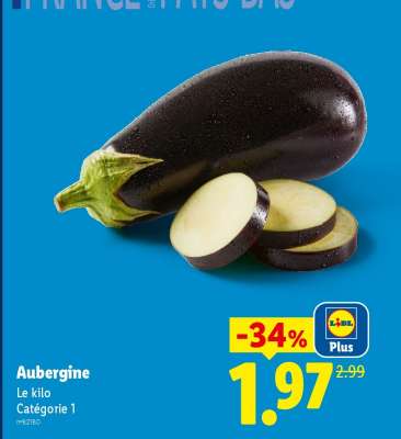 AUBERGINE