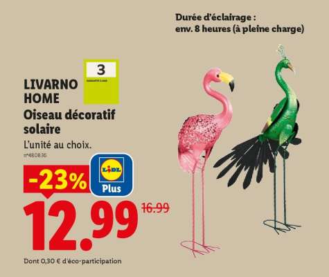 LIVARNO HOME Oiseau décoratif solaire