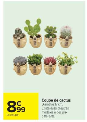 Coupe de cactus