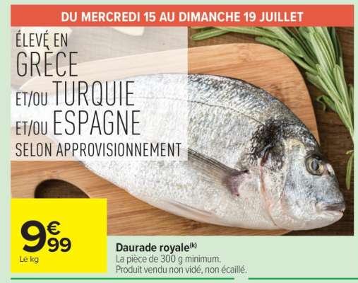Daurade royale