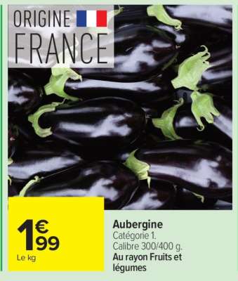 AUBERGINE