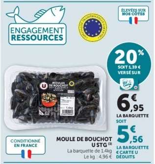 Moule de Bouchot USTG