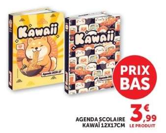 AGENDA SCOLAIRE KAWAÏ 12X17CM