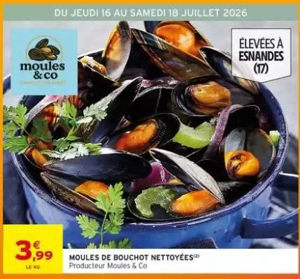 MOULES DE BOUCHOT NETTOYÉES