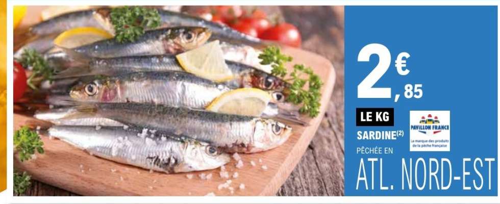 SARDINE