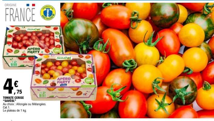 TOMATE CERISE 'SAVEOL'