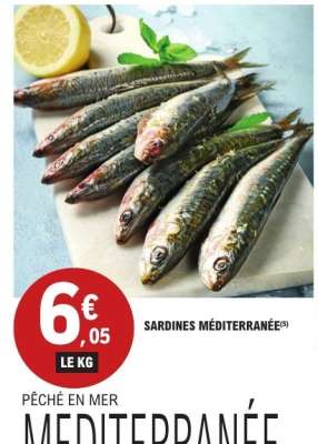SARDINES MÉDITERRANÉE