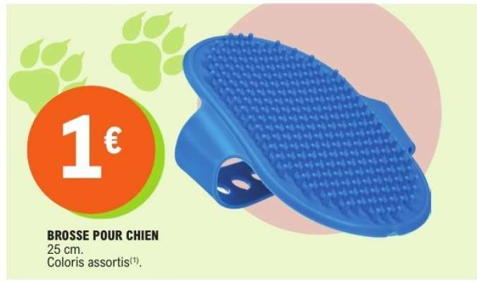 BROSSE POUR CHIEN