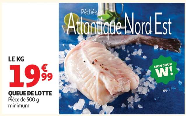 QUEUE DE LOTTE